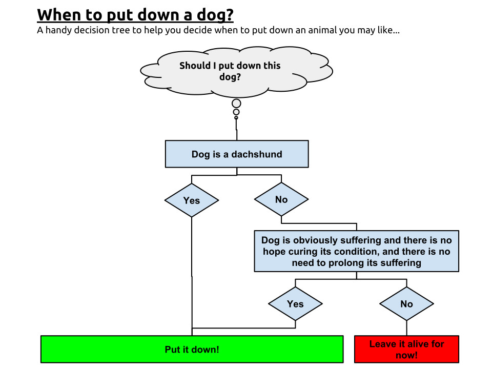 When to put a dog down